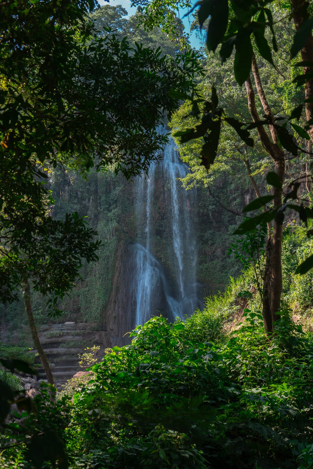 Cachoeira na mata